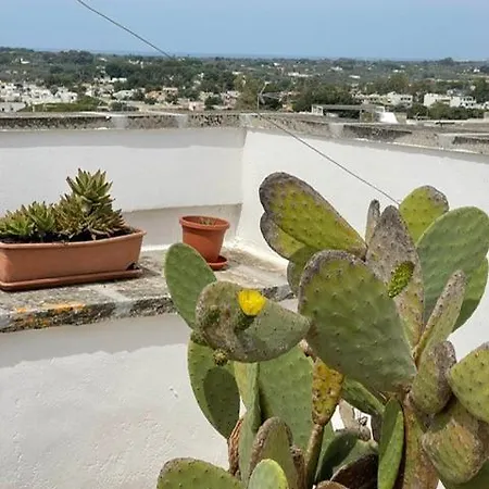 Casa Marco * Матино